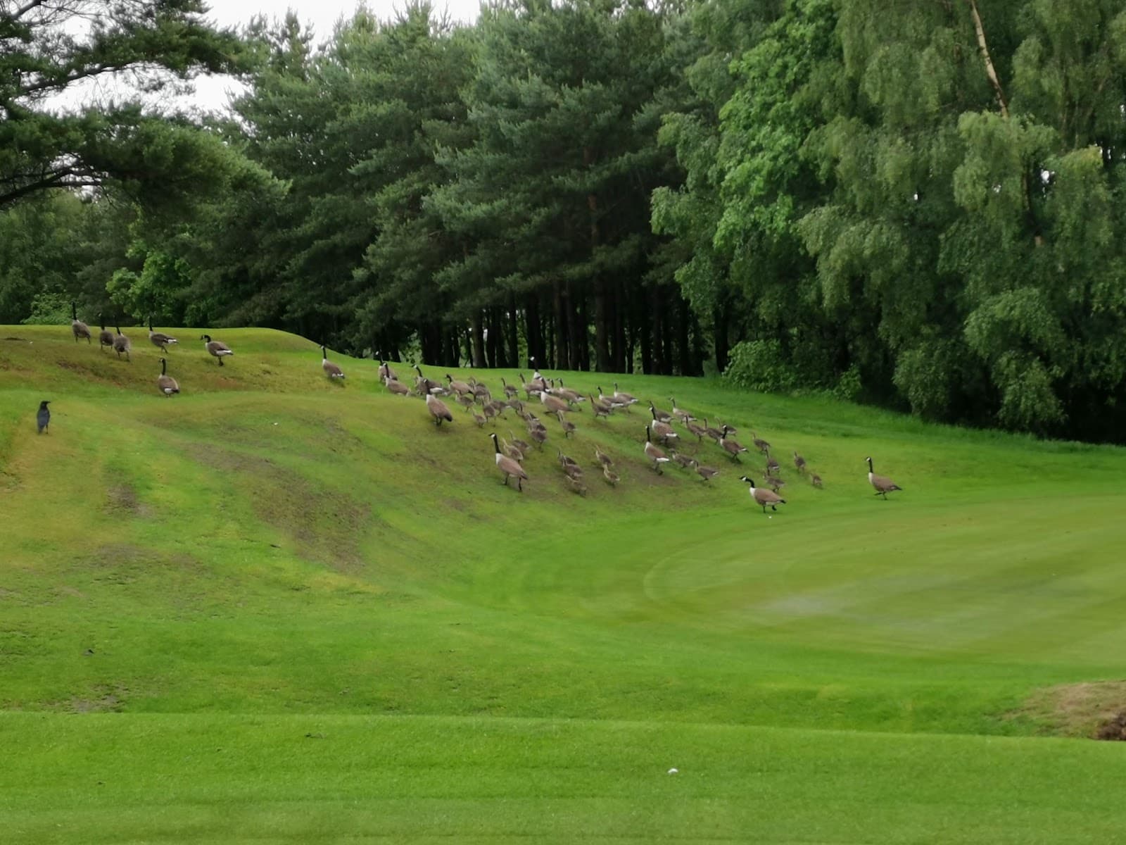 Accrington and District Golf Club