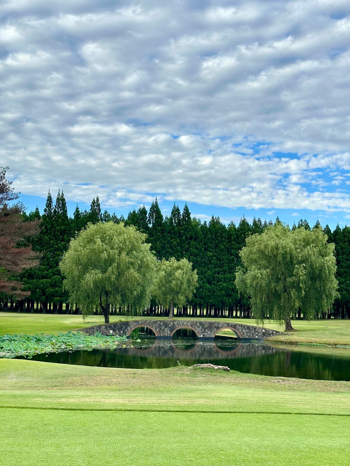 Akita tsubakidai Golf Club