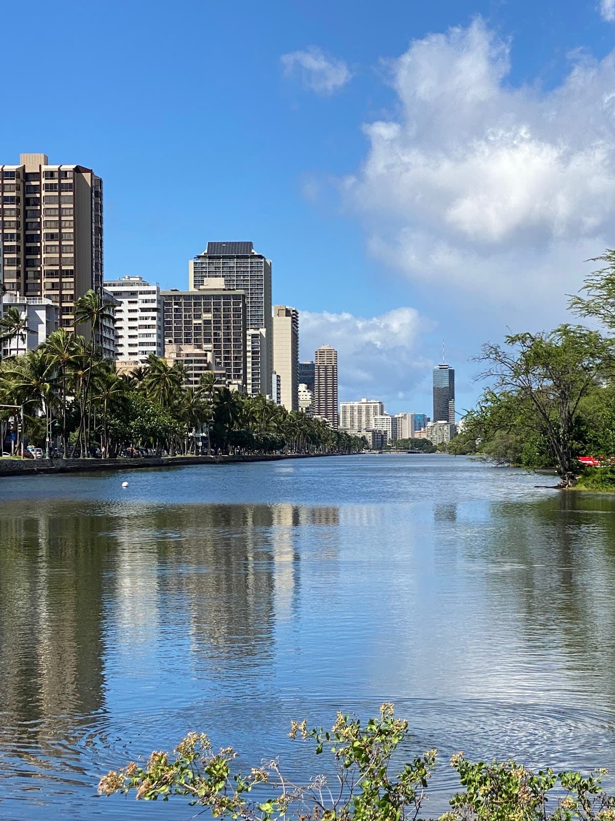 Ala Wai