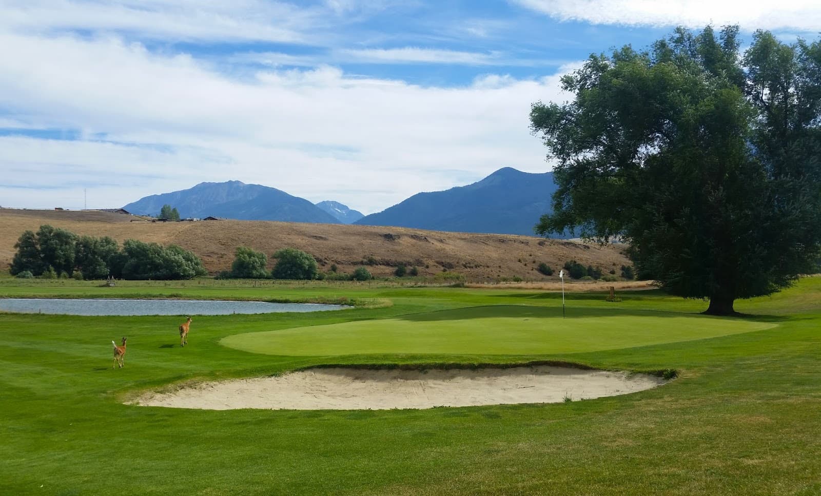 Alpine Meadows Golf Course