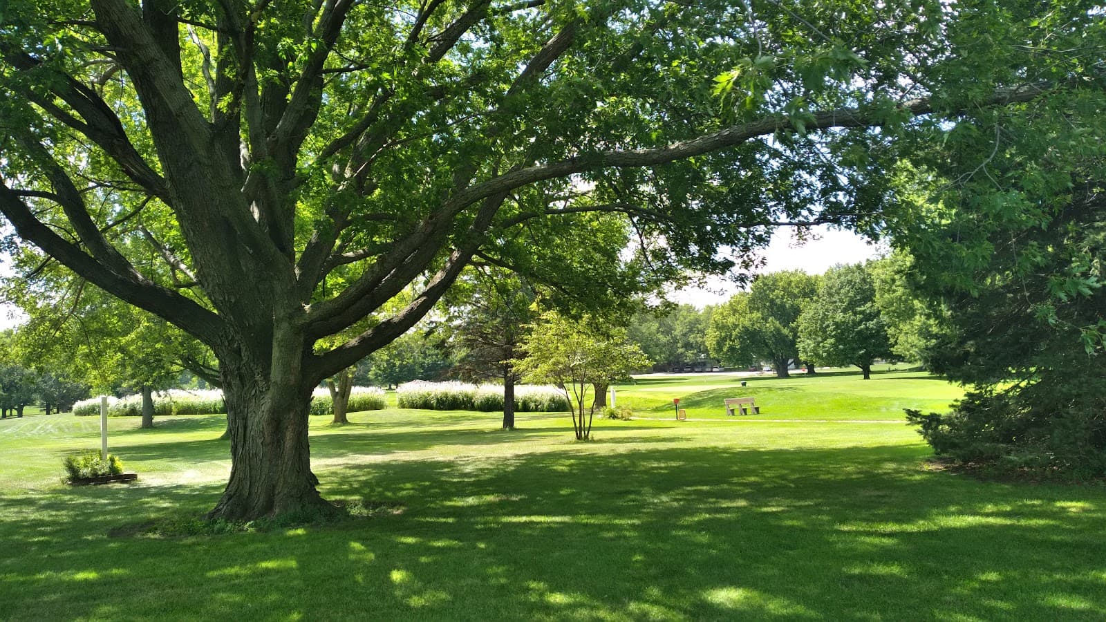 Alta Golf and Country Club