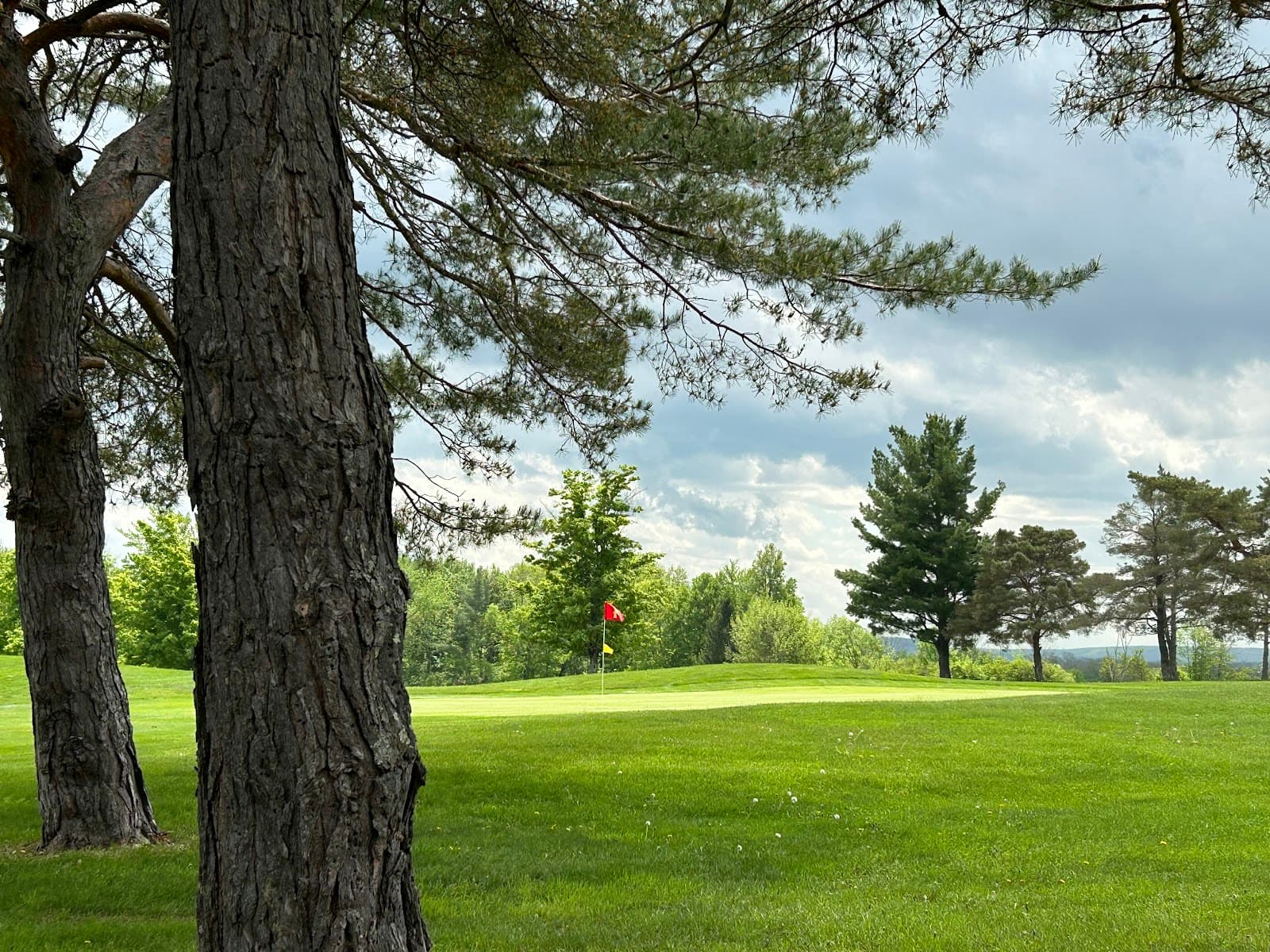 Amsterdam Municipal Golf