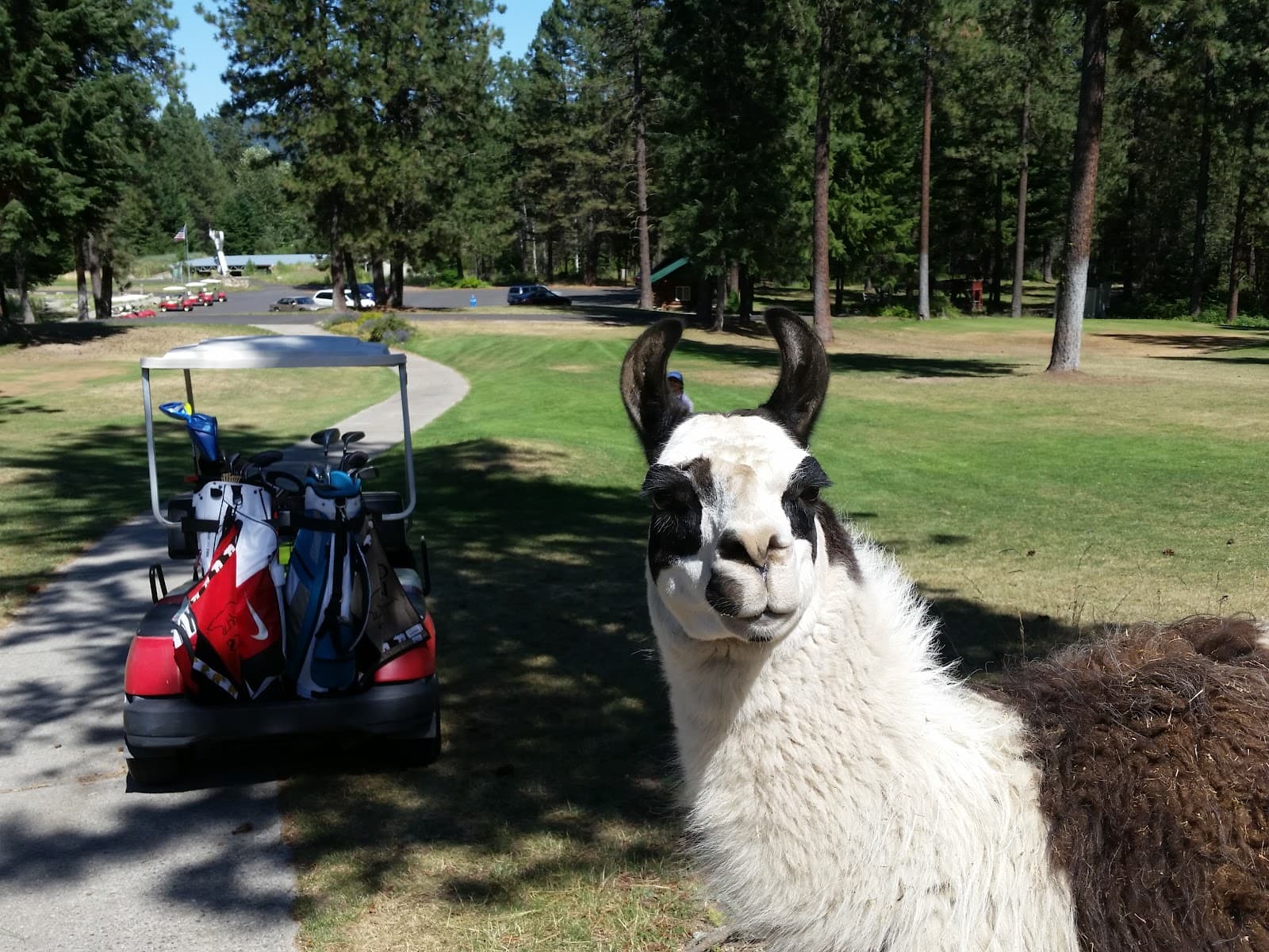Antler Springs Golf Course