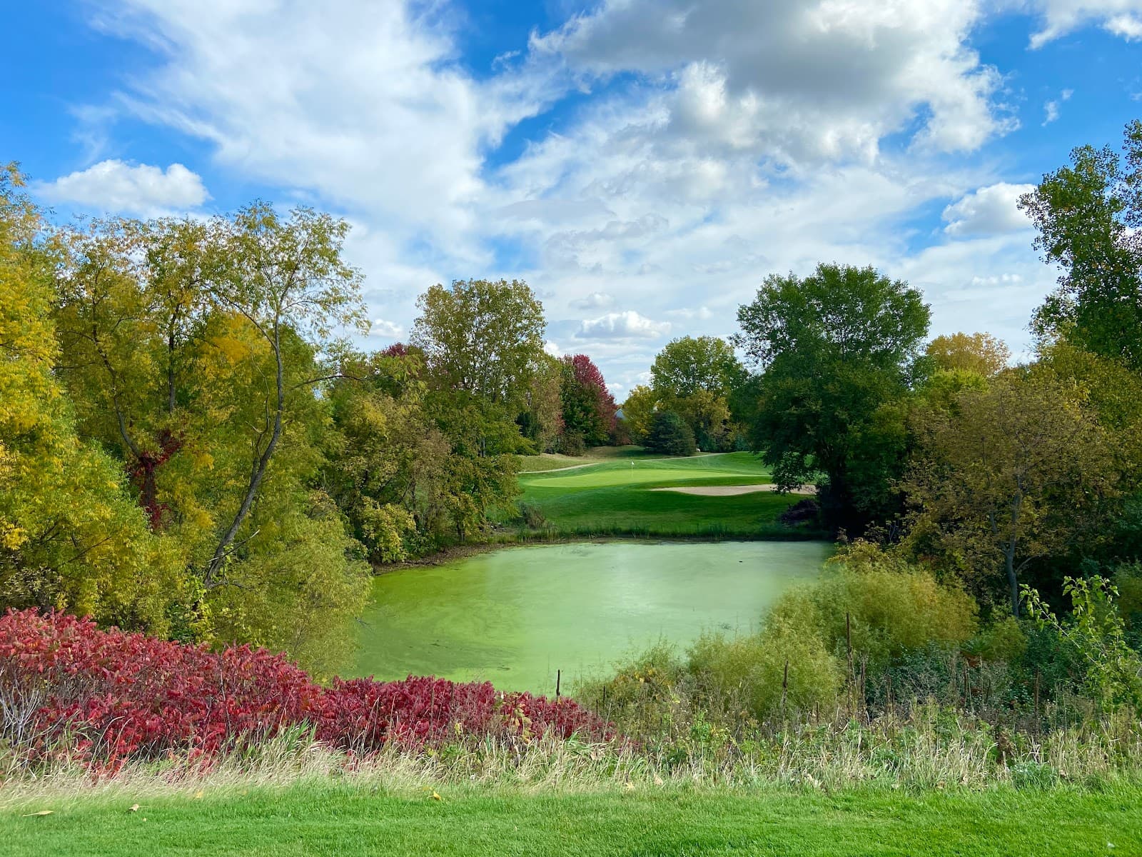 Arbor Pointe Golf Club