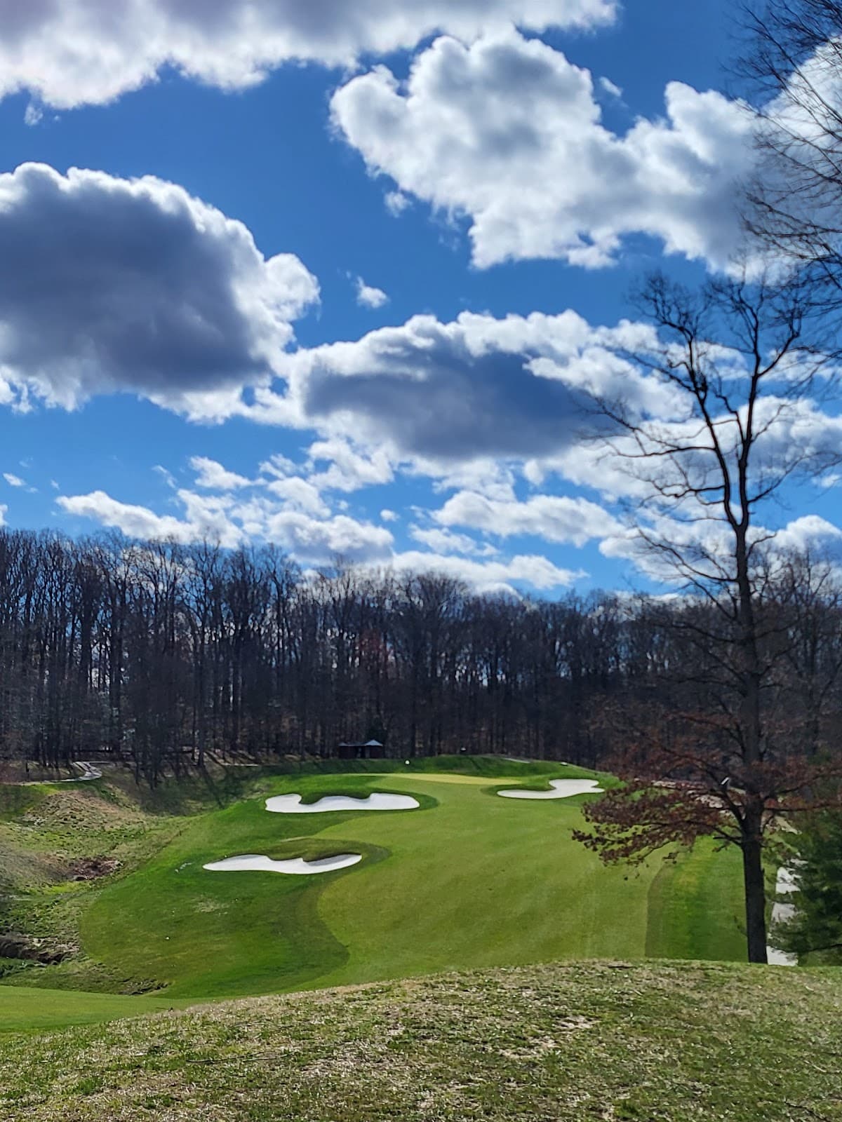 Army Navy Country Club Fairfax