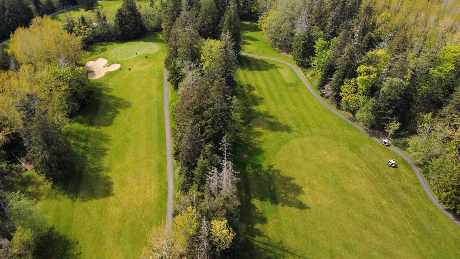 Bald Eagle Golf Club