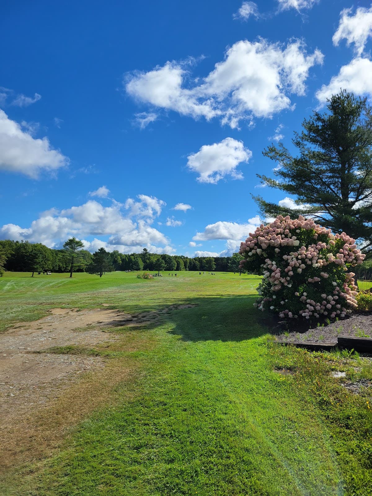 Barnes Brook Golf Course