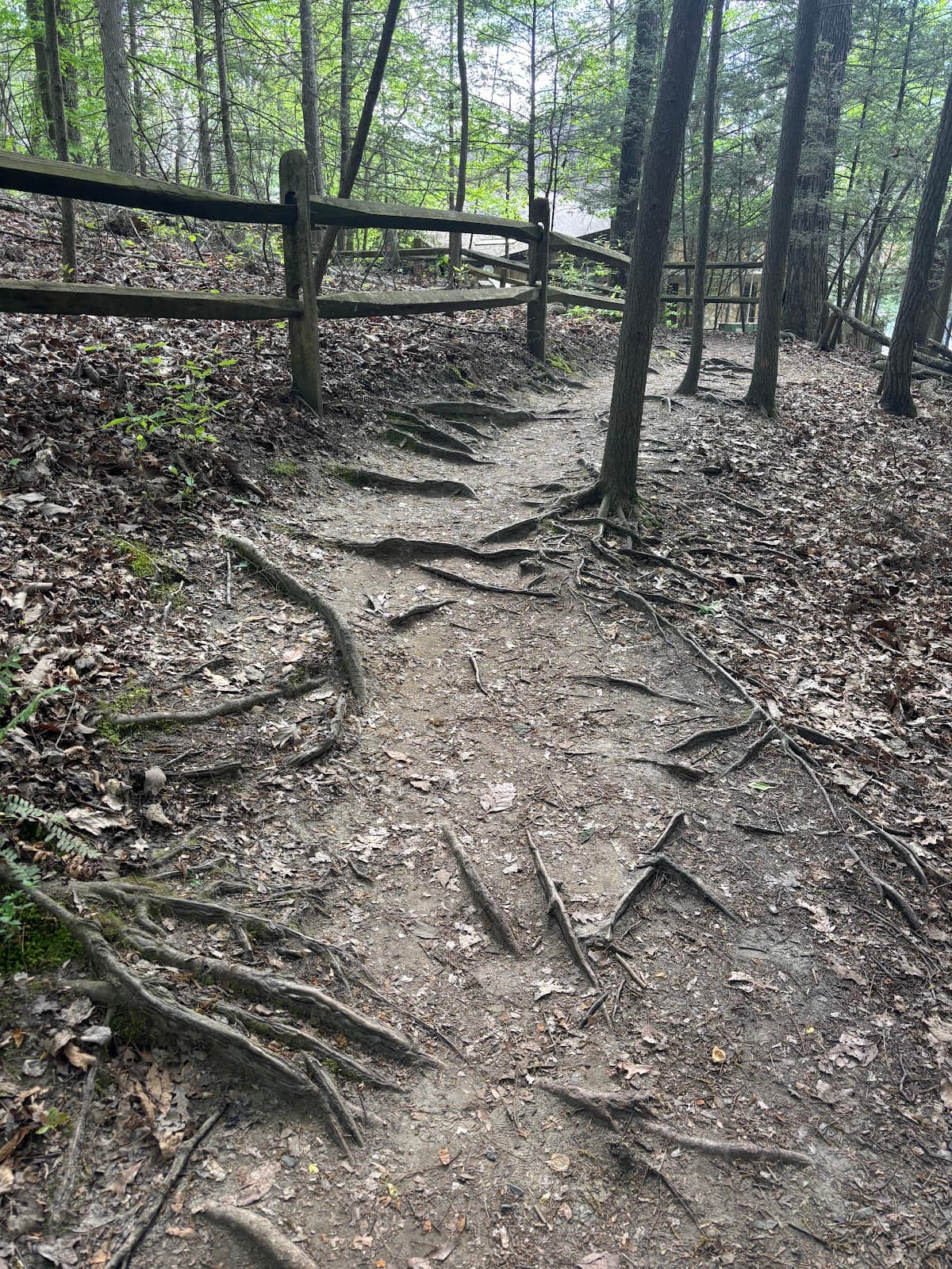 Bays Mountain