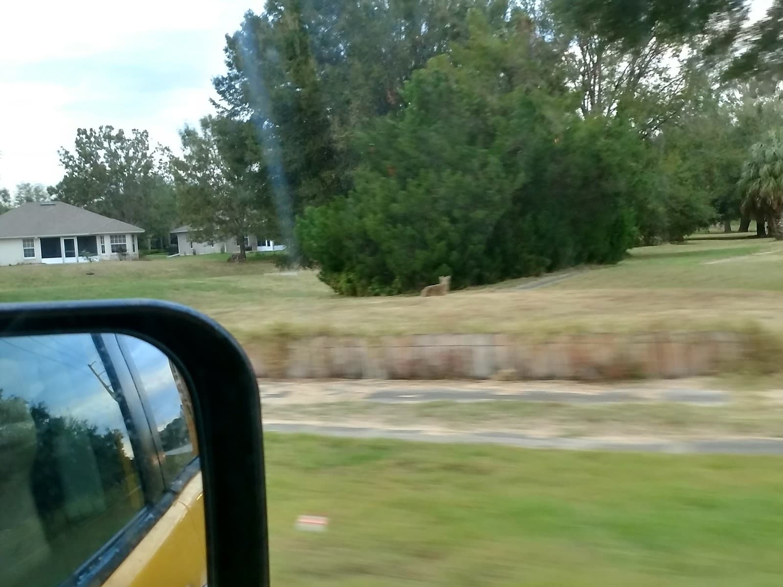 Baytree Executive Golf Course