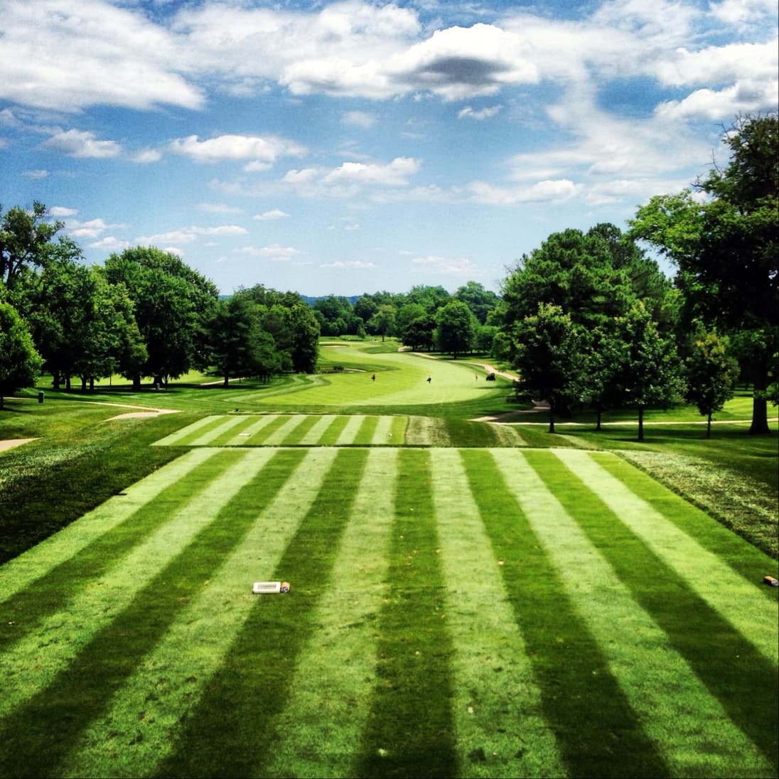 Belle Haven Country Club