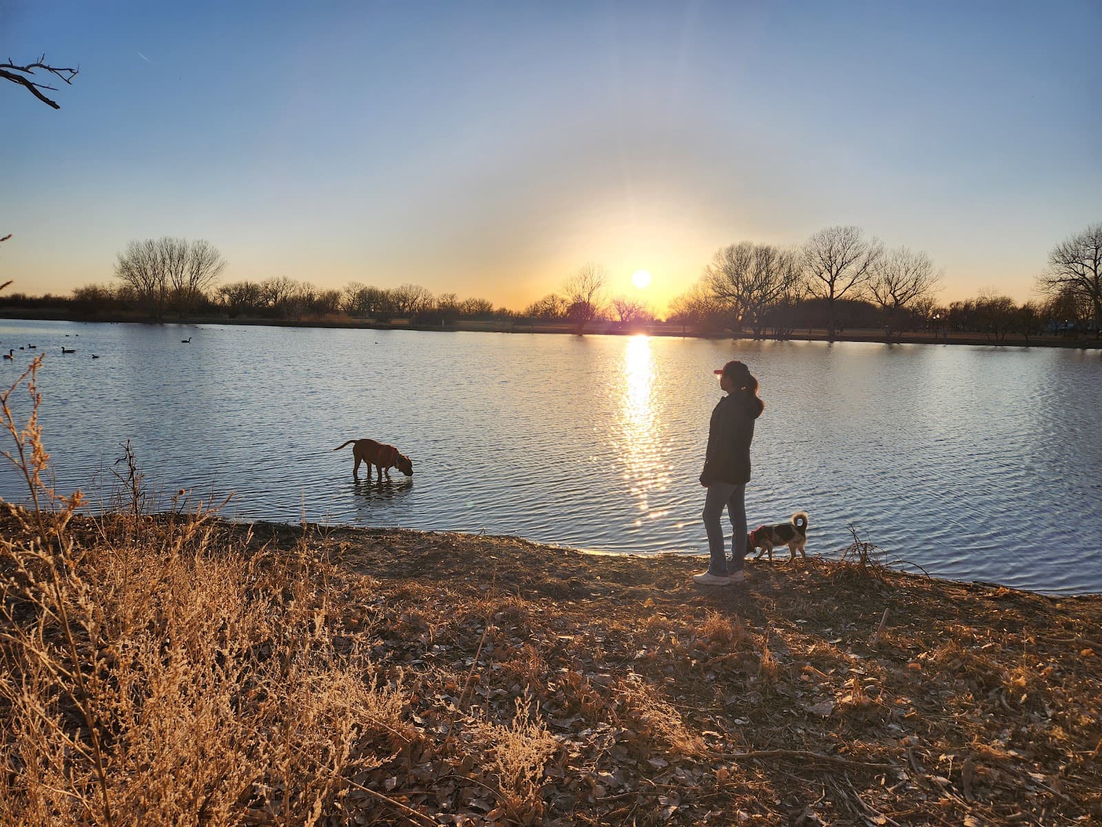 Bentwood Golf Course