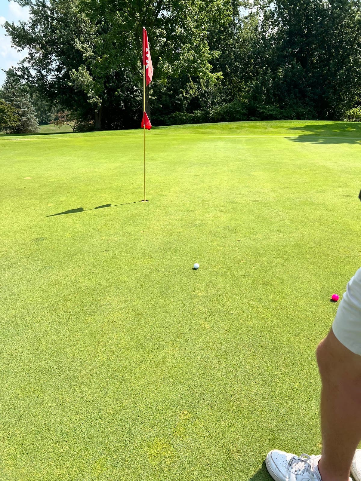 Big Al's Greens and Grille