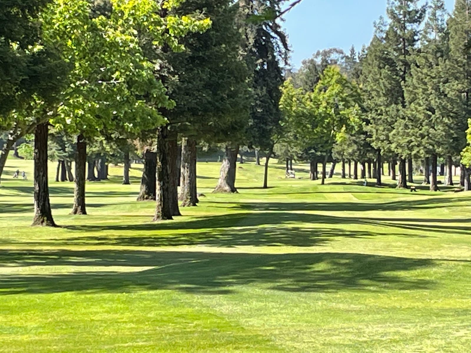 Blackberry Farm Golf club