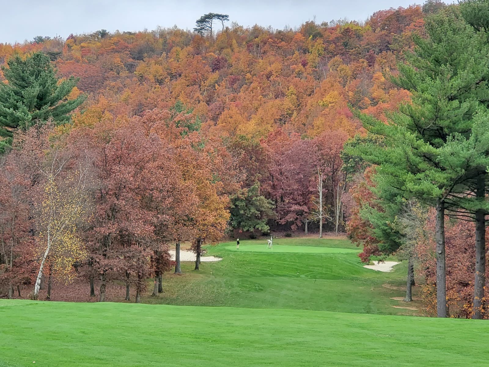 Blue Shamrock Golf Club