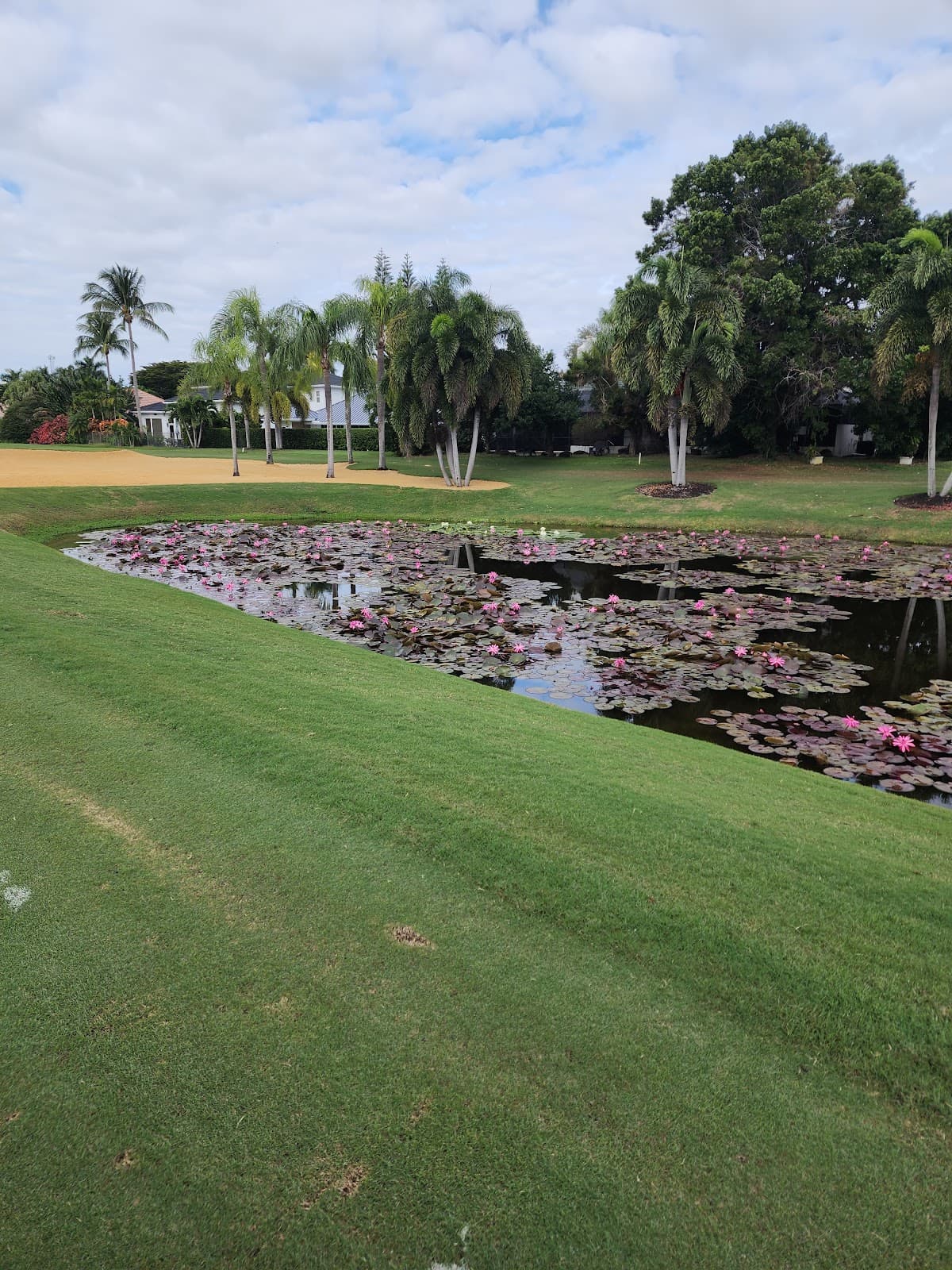 Boca Grove Plantation