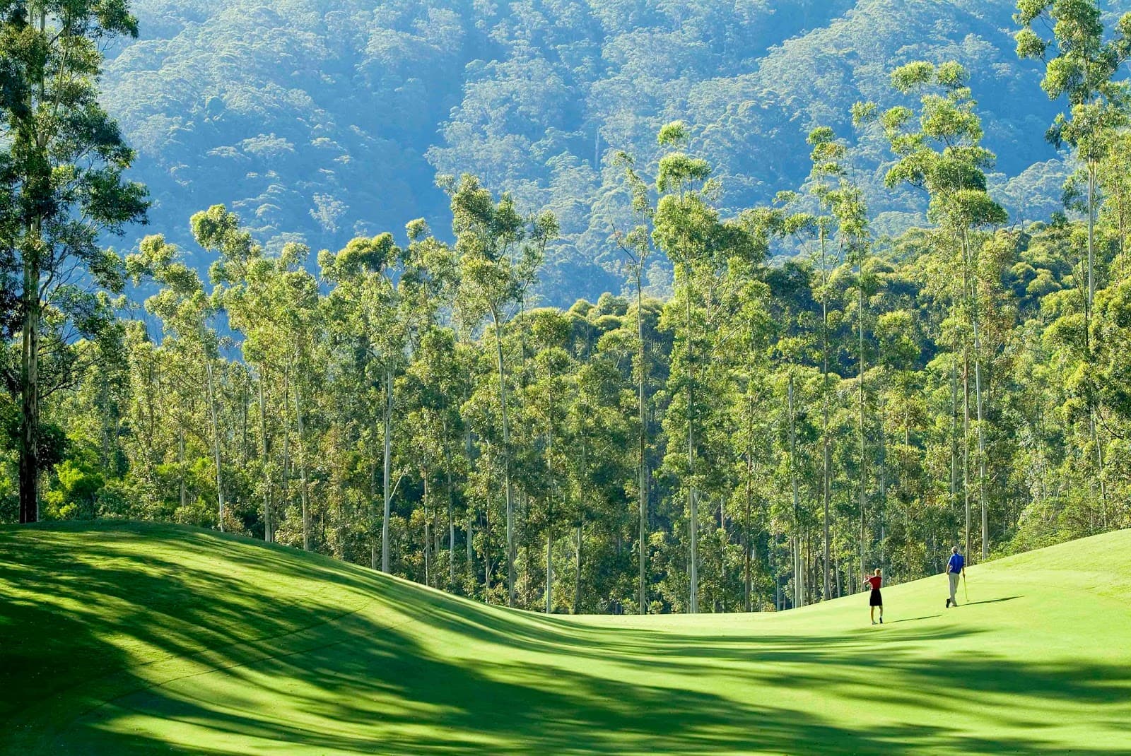 Bonville Golf Resort