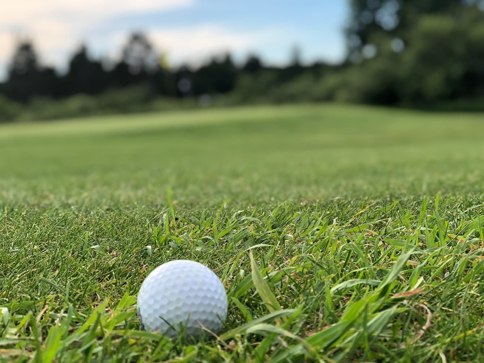 Botten's Green Acres