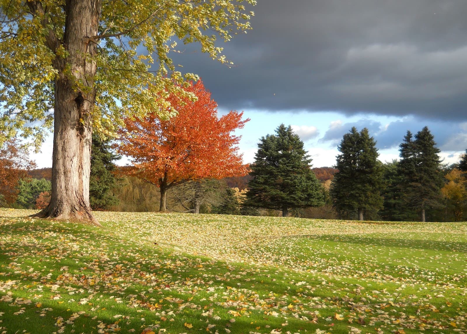 Brackenridge Heights Golf Course