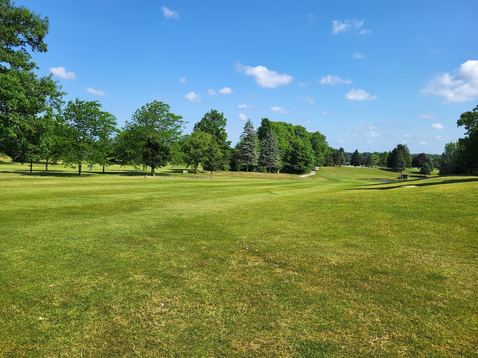 Briarwood Woods Golf Club