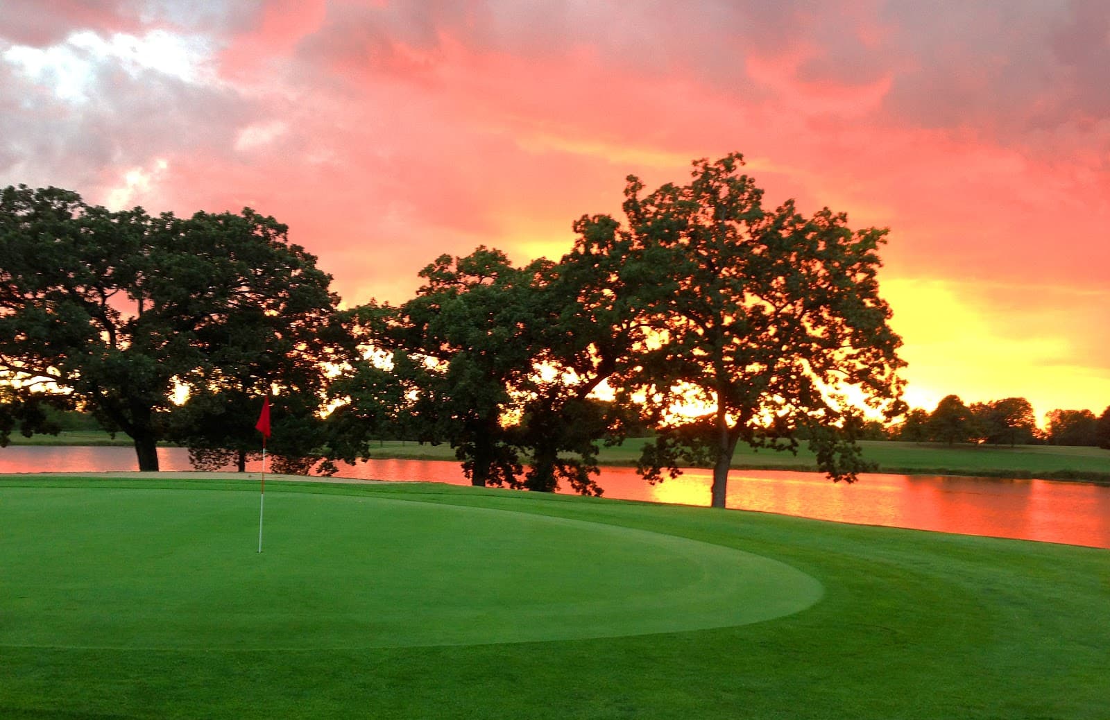 Brighton Dale Links | White Birch