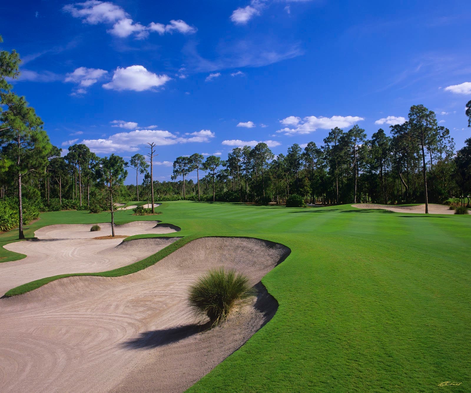 Calusa Pines Golf Club