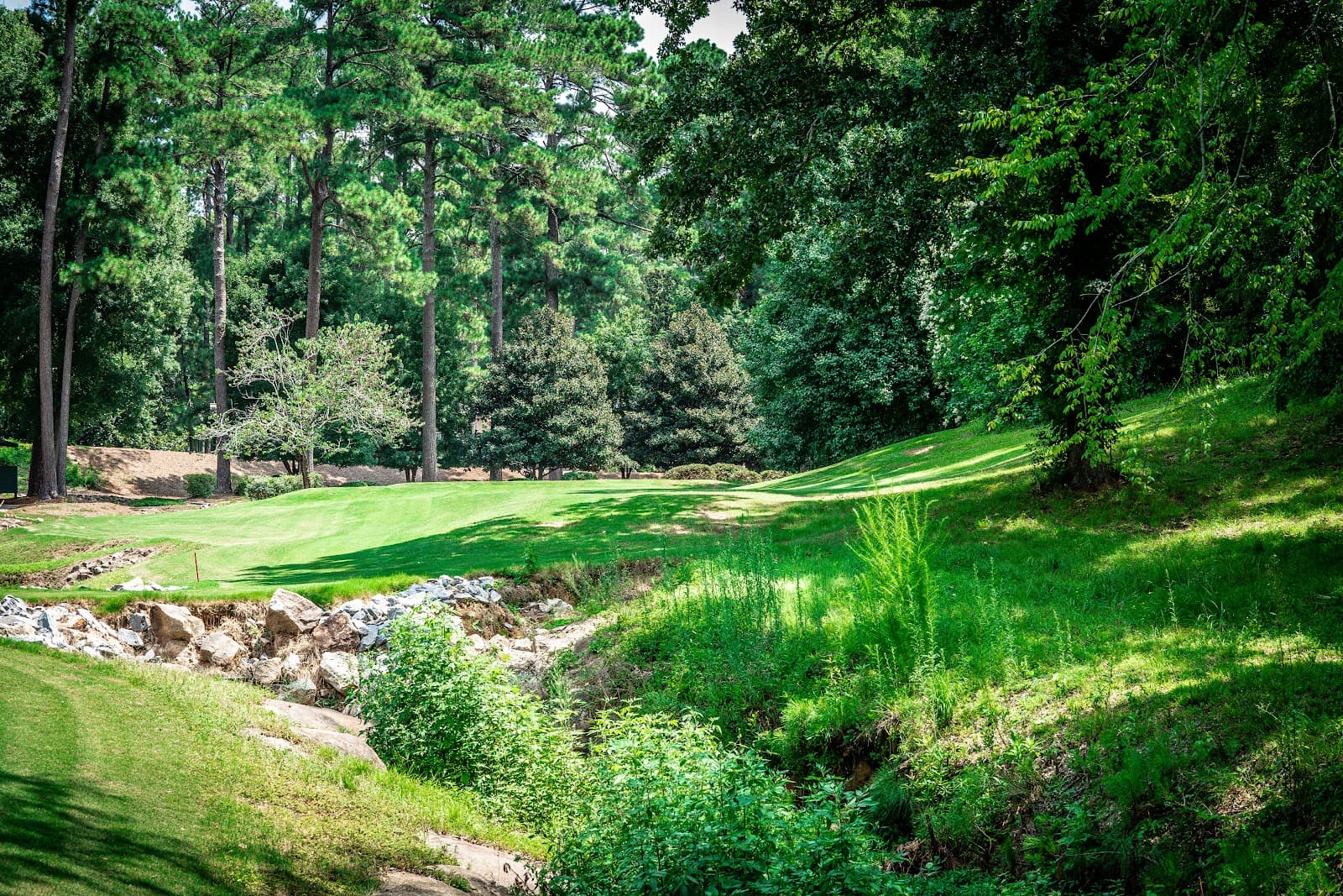 Carrollwood Country Club