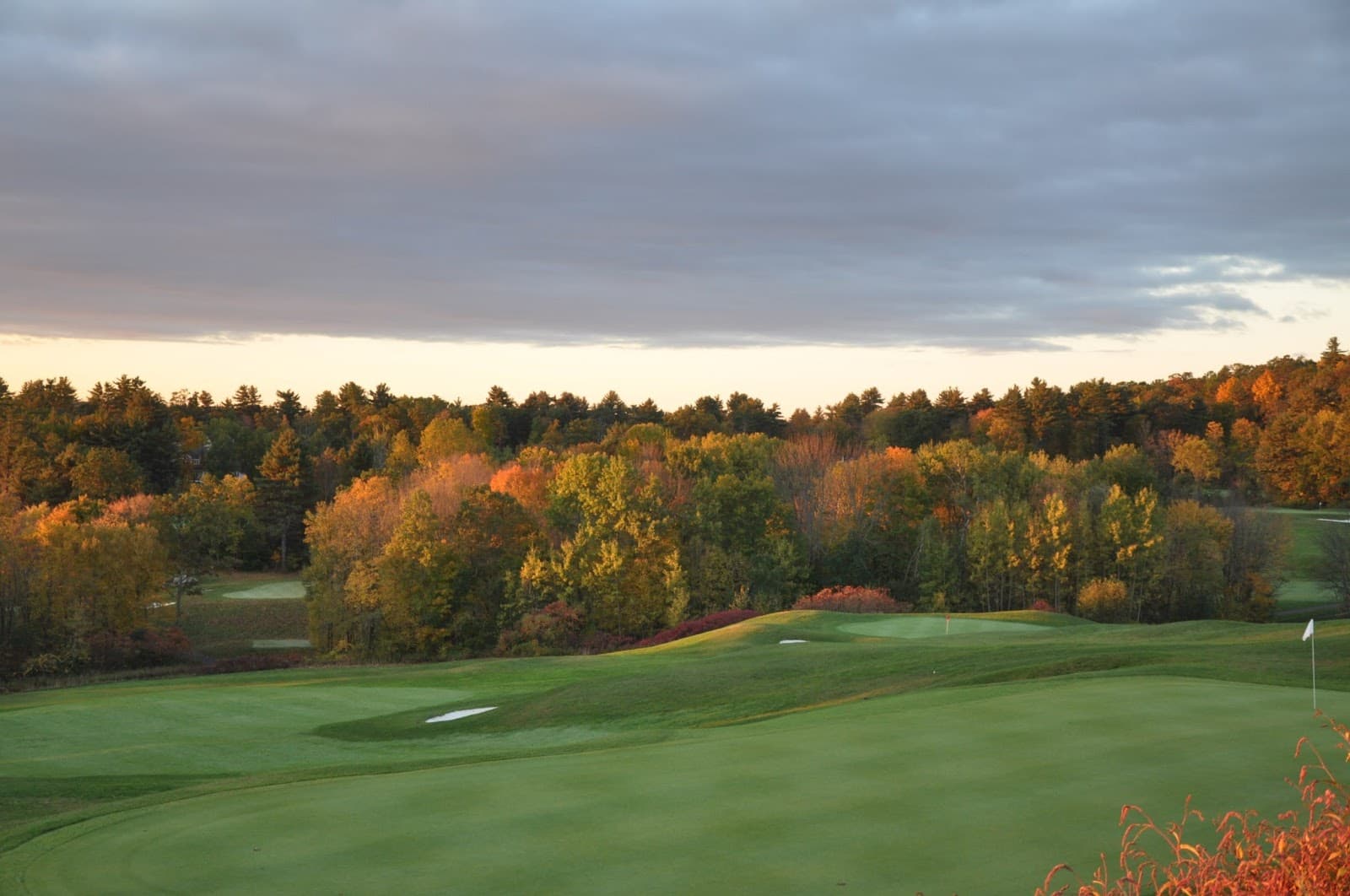 Cold Springs Golf Course