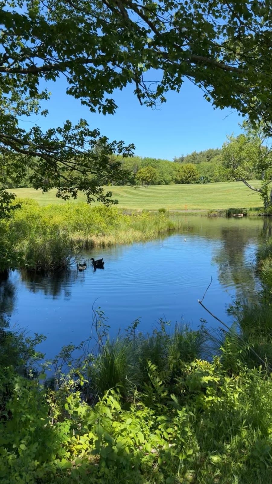 Country View Golf Club