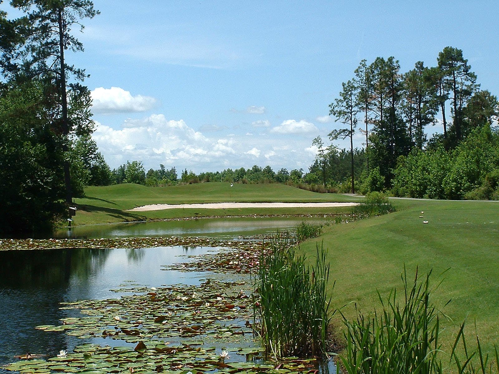 Diamondback Golf Club at Woodland Valley