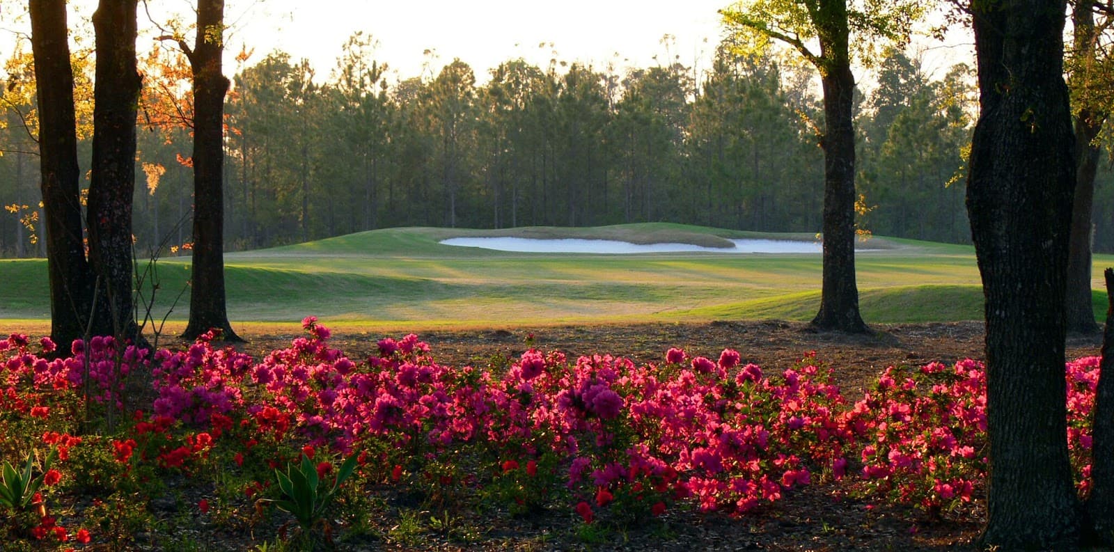 Eagle Landing Golf Club