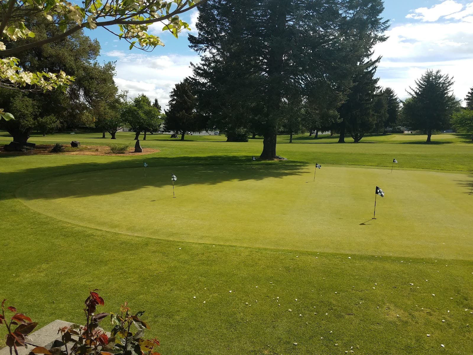 Fisher Park Golf Course