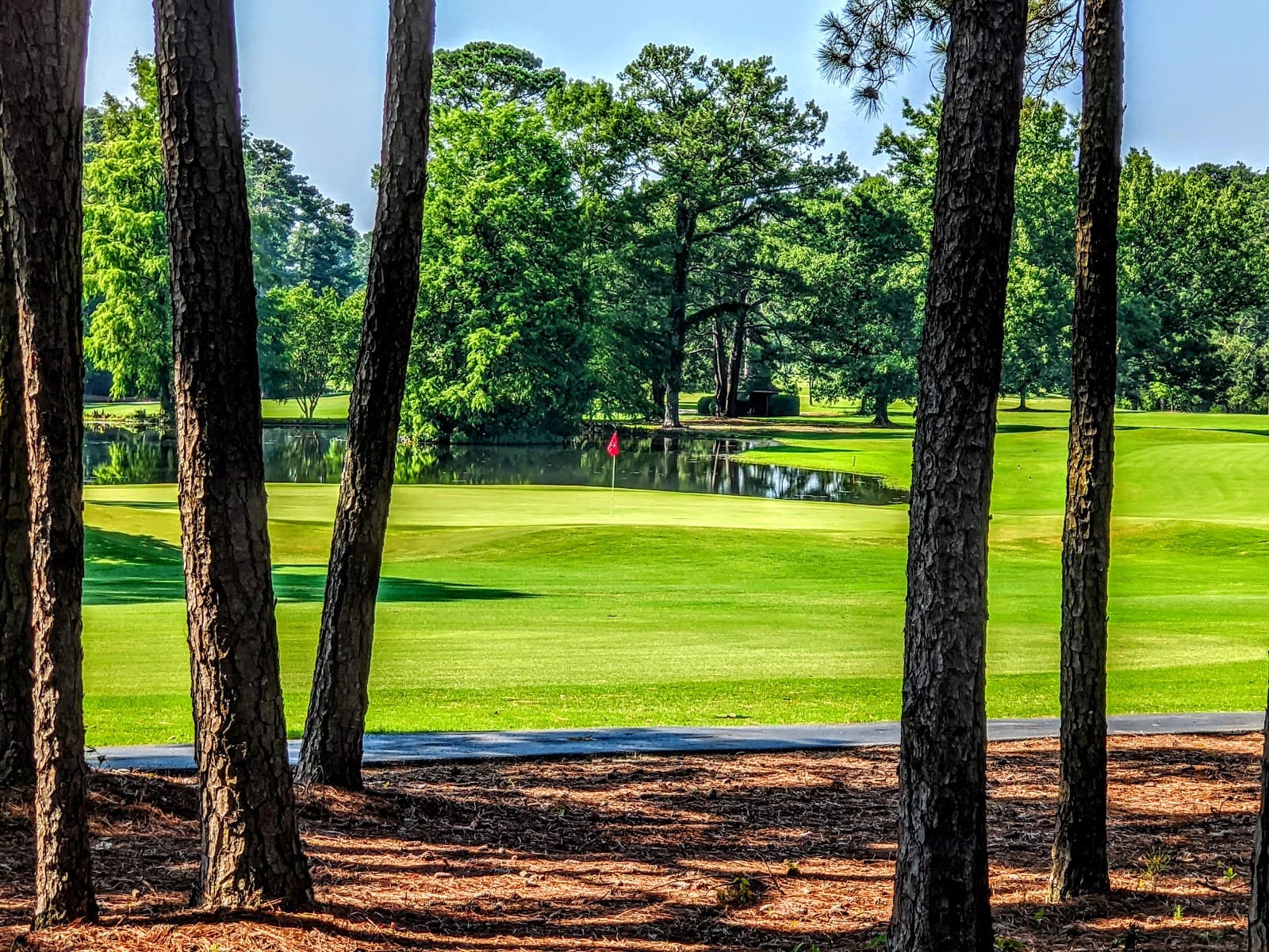 Forest Lake Club