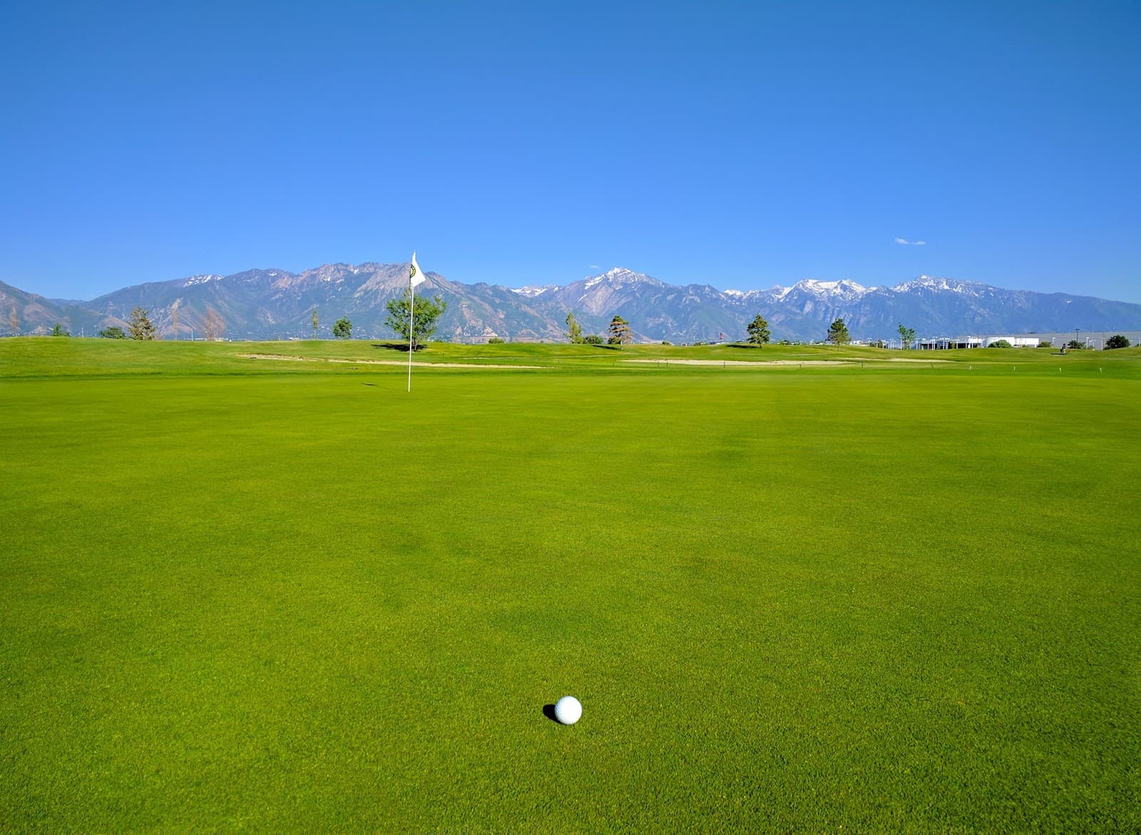 Golf The Round