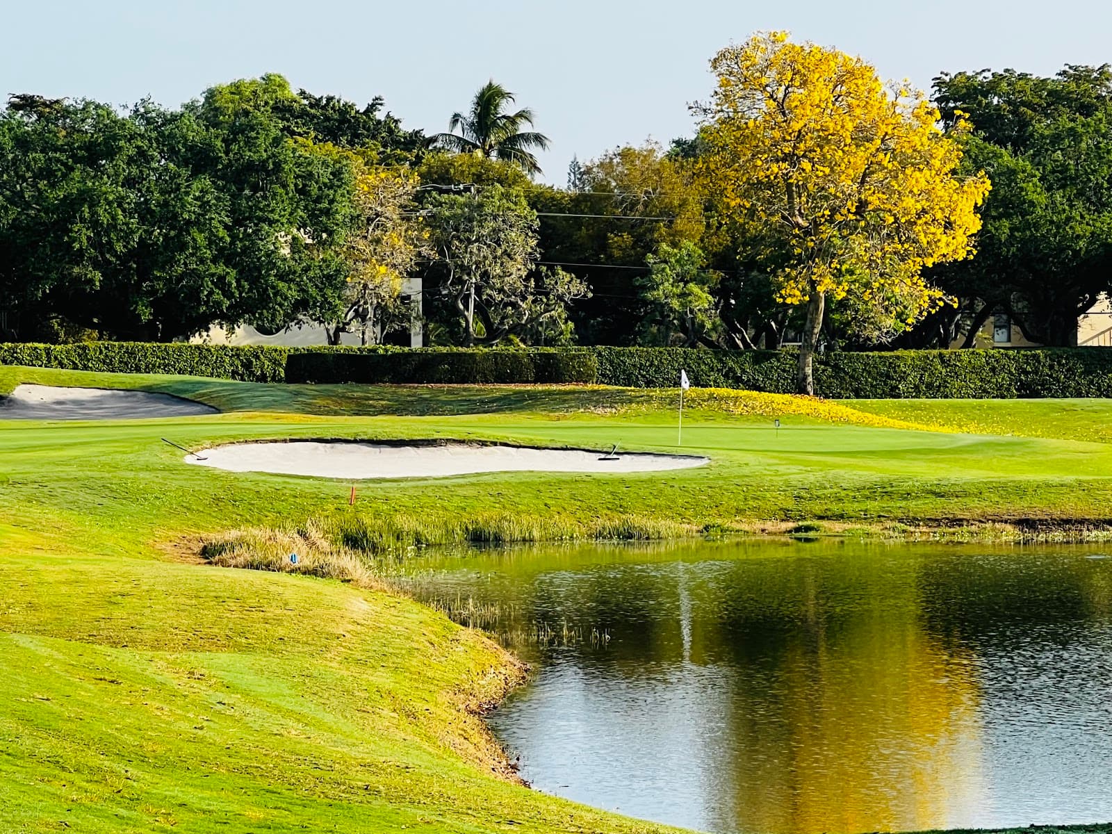 Grande Oaks Golf Club