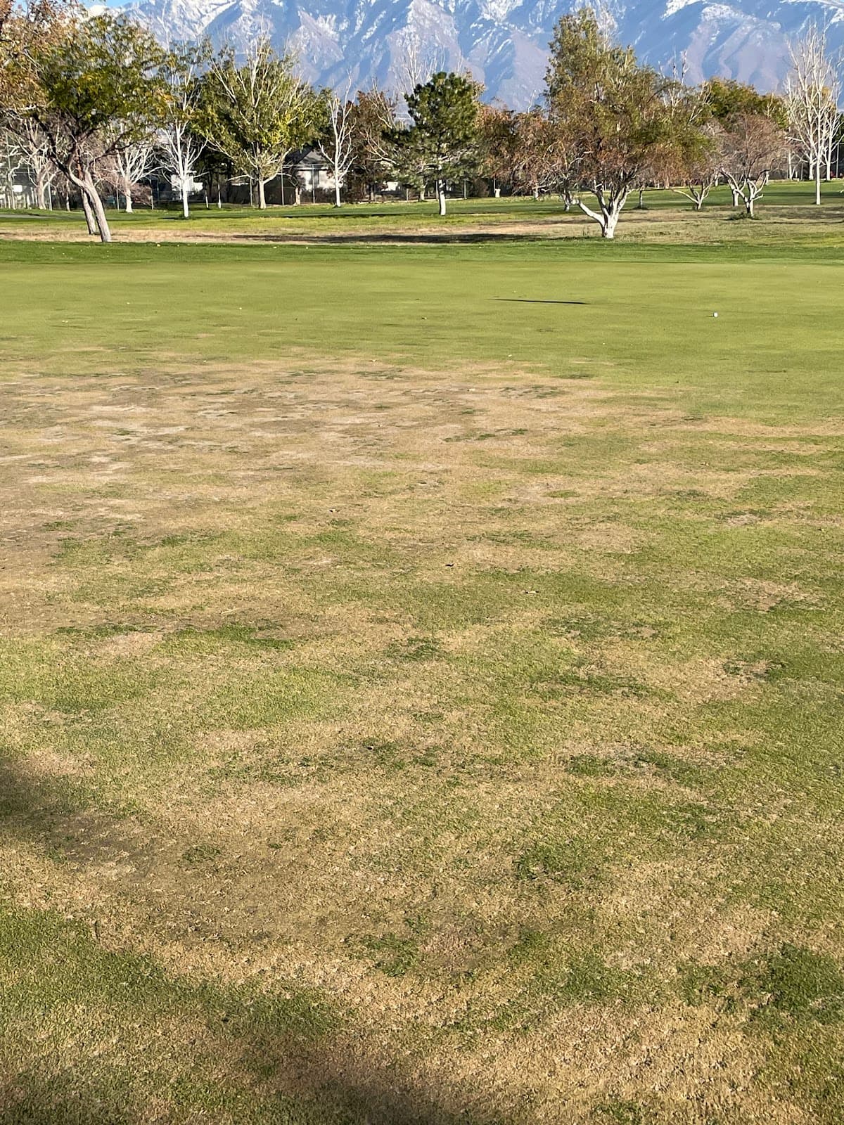 Granite View Golf Course