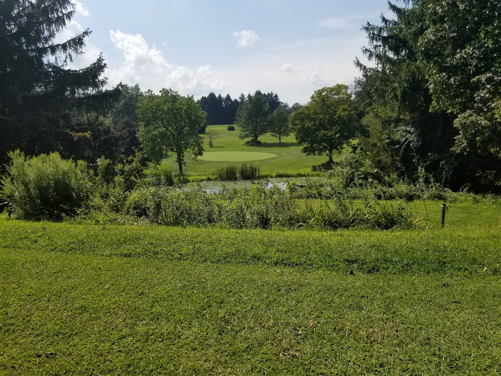 Greystone Mountain Golf Club