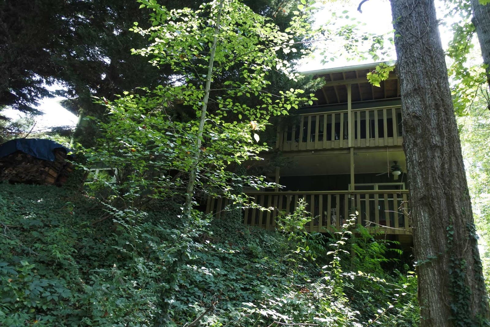 Hideaway Executive