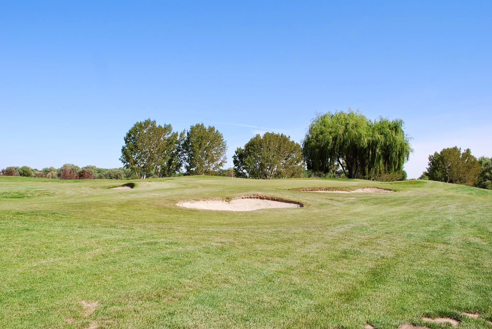 Jack Tone Golf