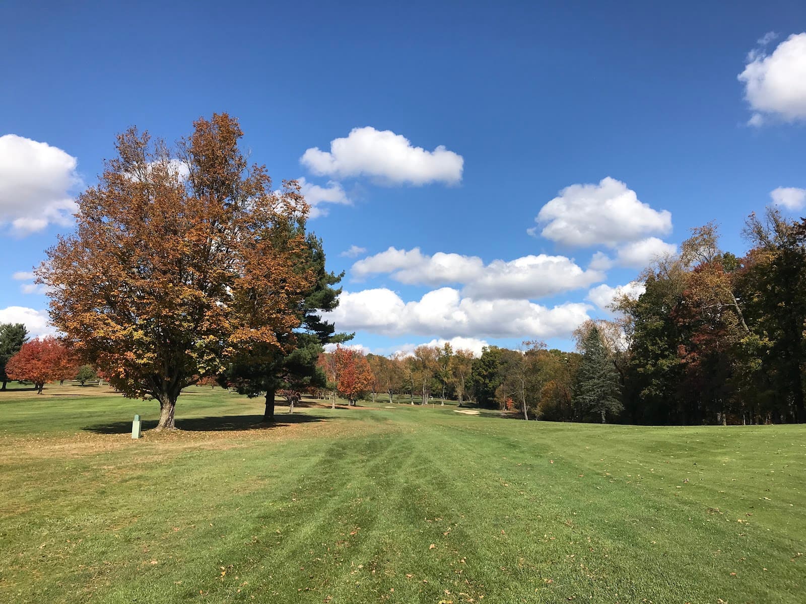 Latrobe Elks Golf Club