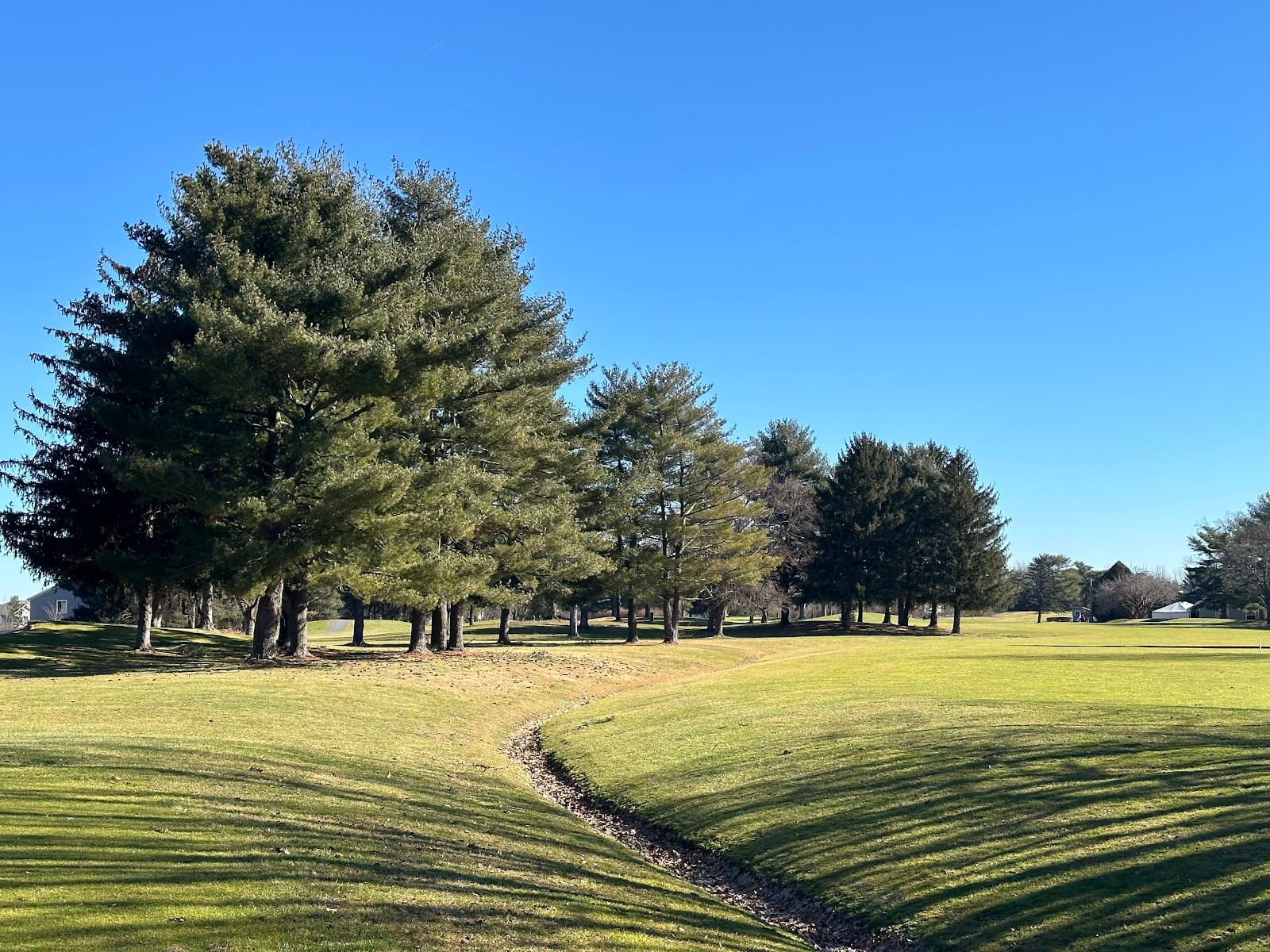 Meadows at Middlesex