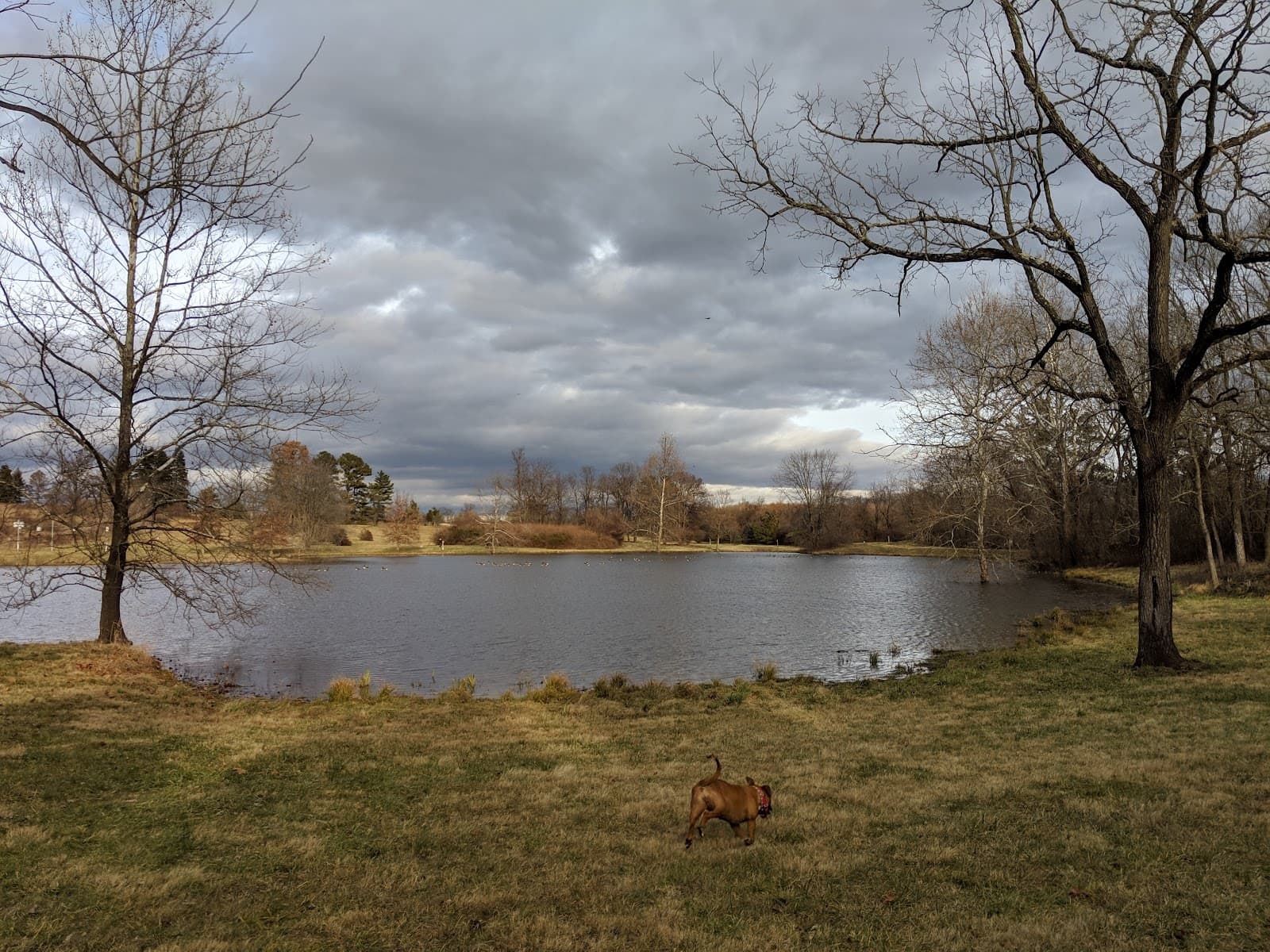 Millwood Country Club