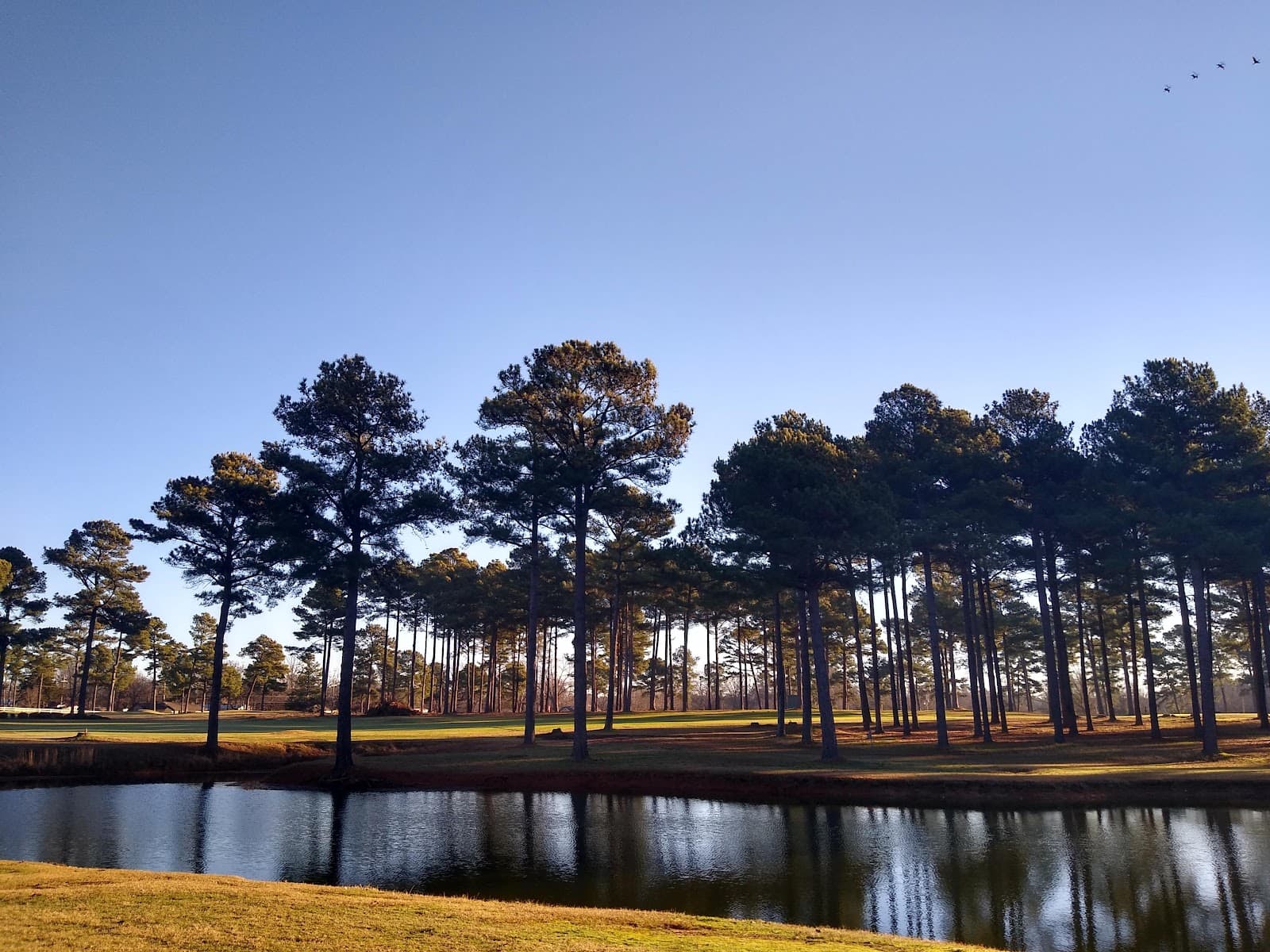 New Haven Golf Club