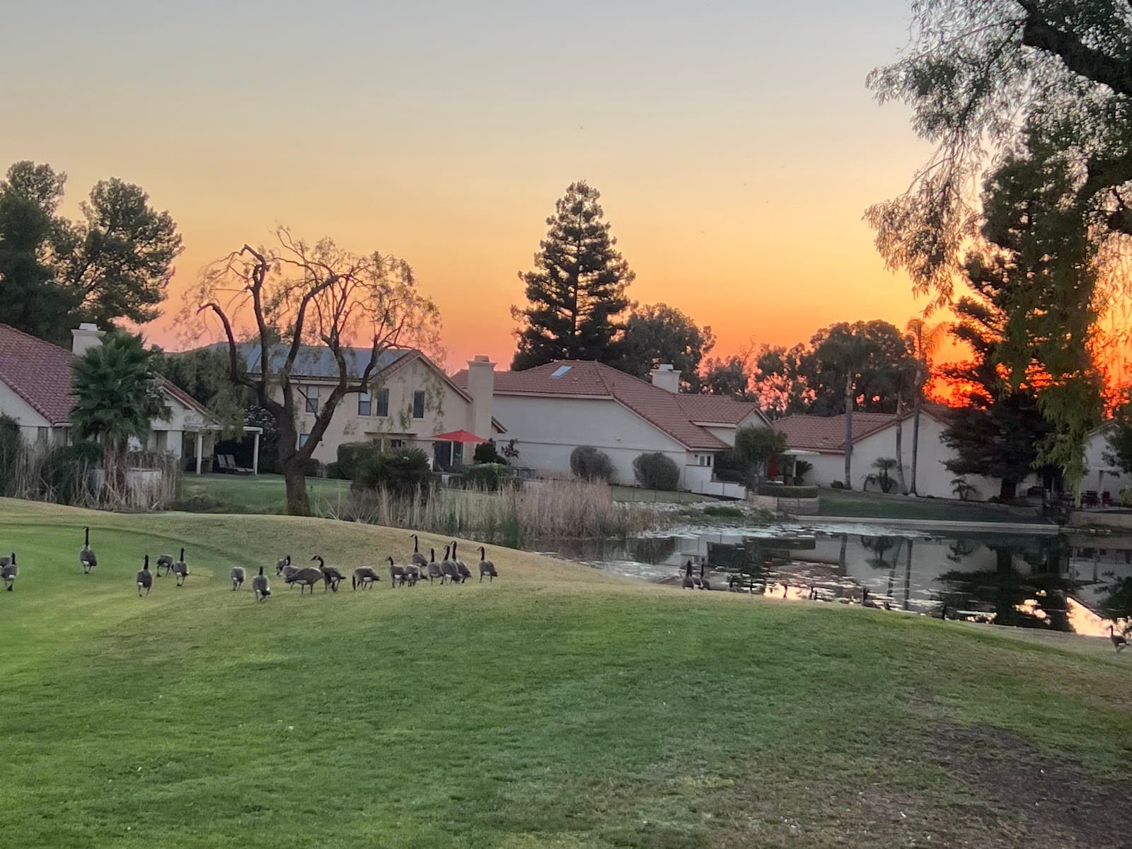 Rio Bravo Country Club