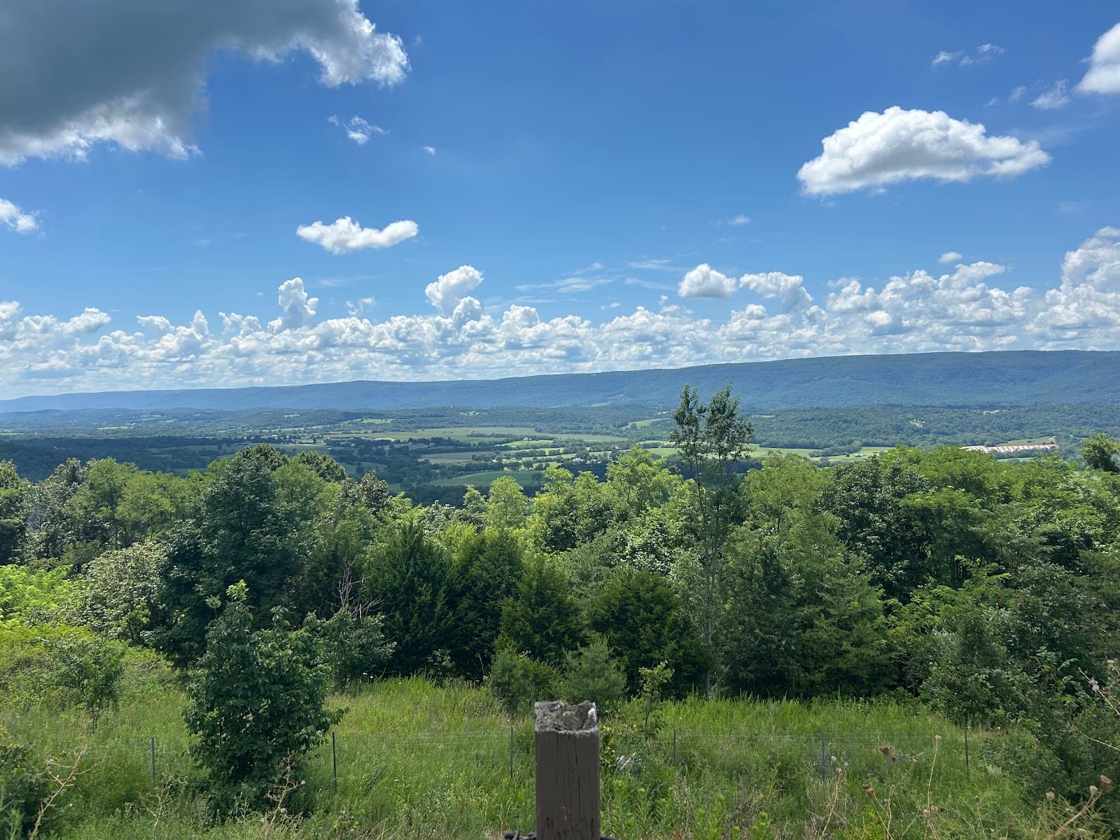 Scenic View