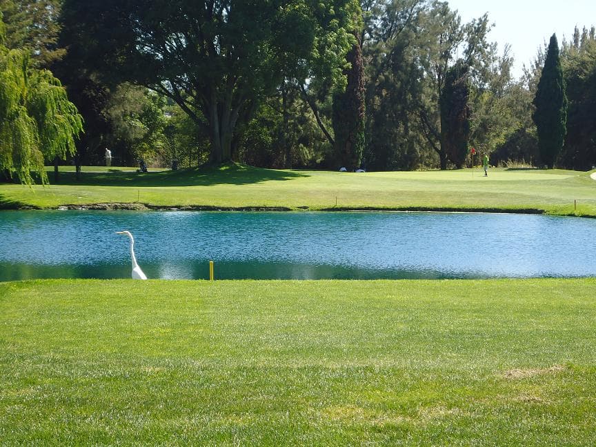 Sunnyvale Golf Course