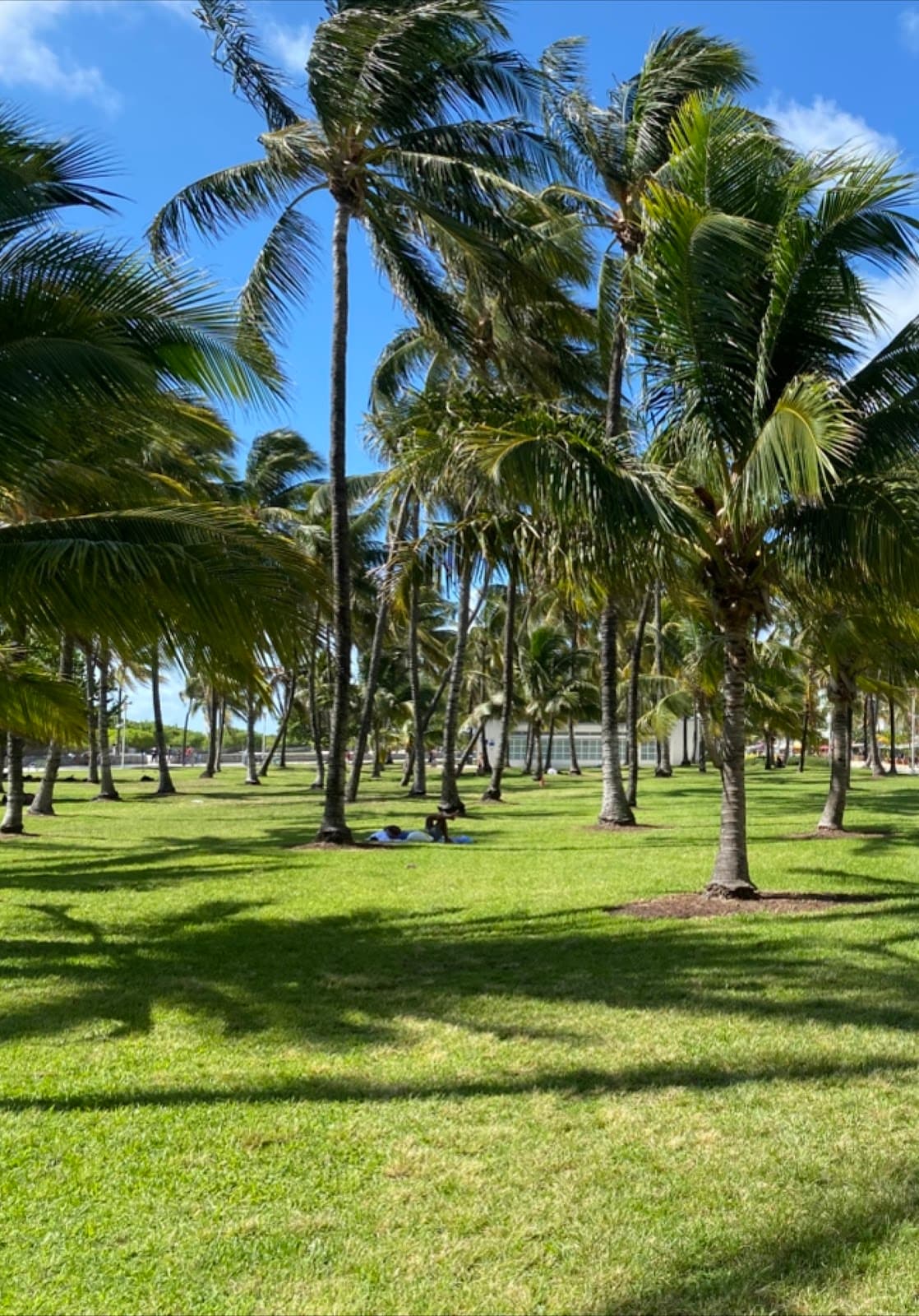 Sunrise Lakes Phase 4 Golf Course