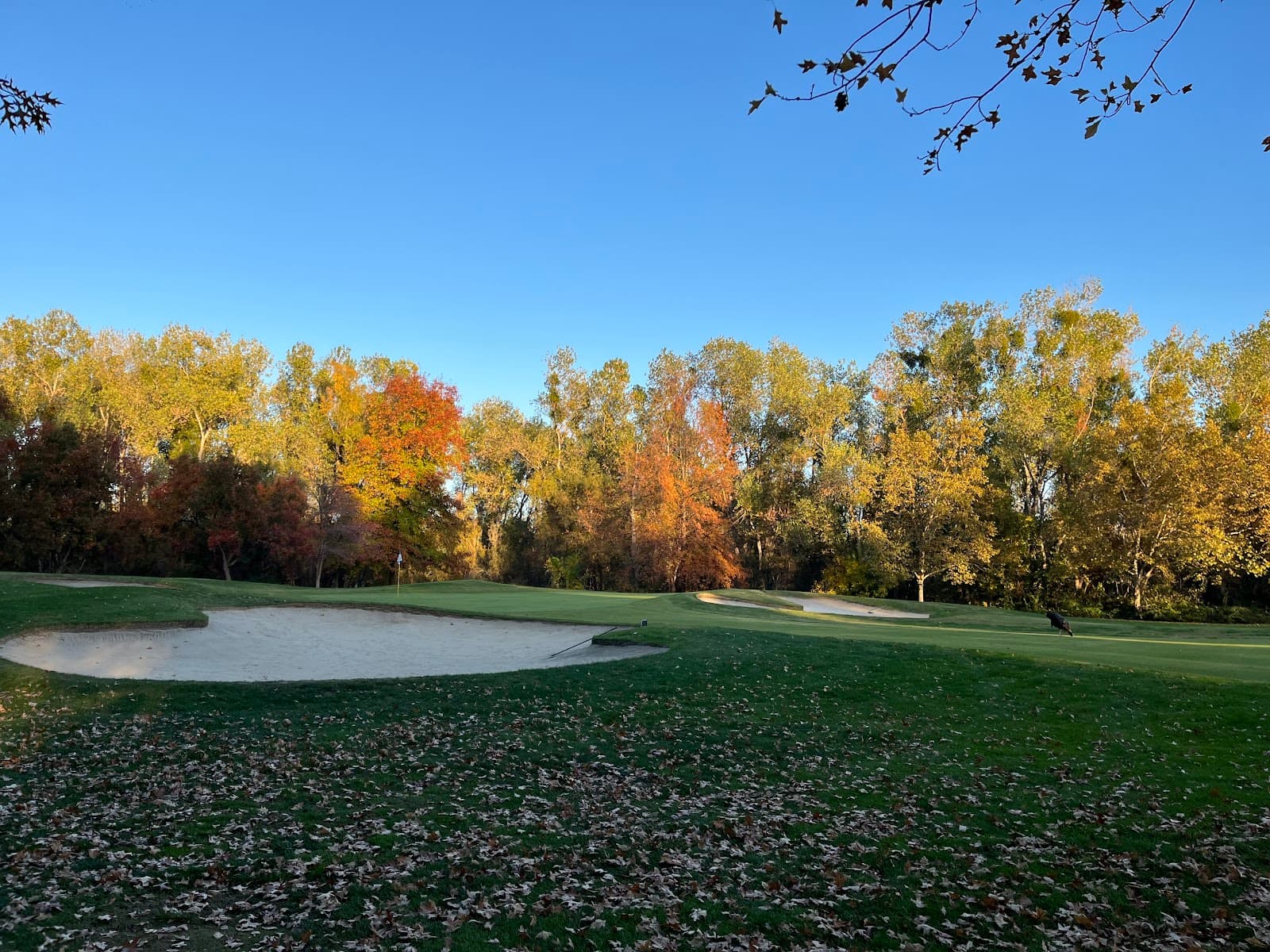 Teal Bend Golf Course