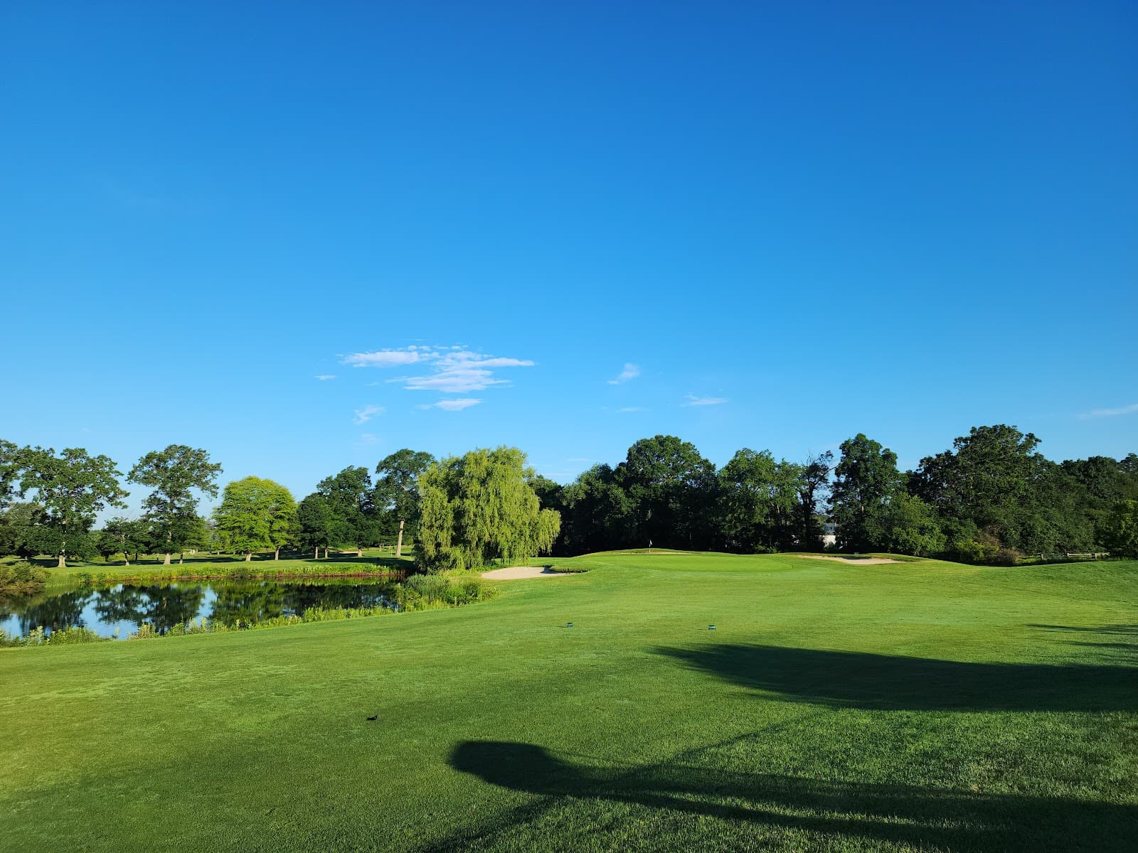 The Black Swan Country Club