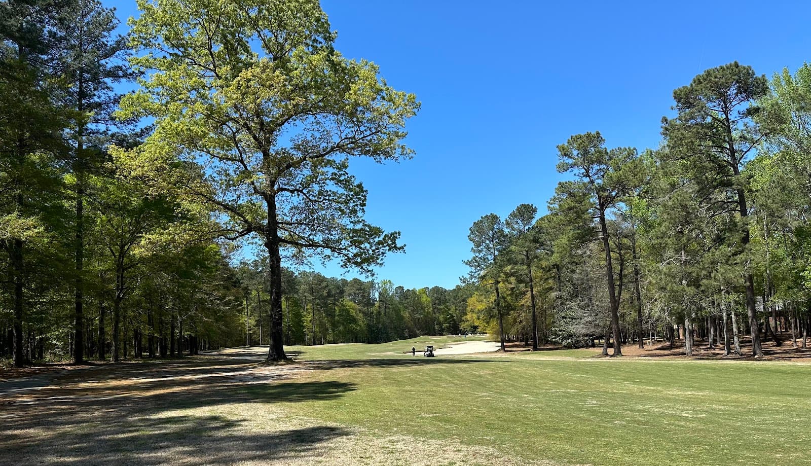 The Golf Club At Cedar Creek