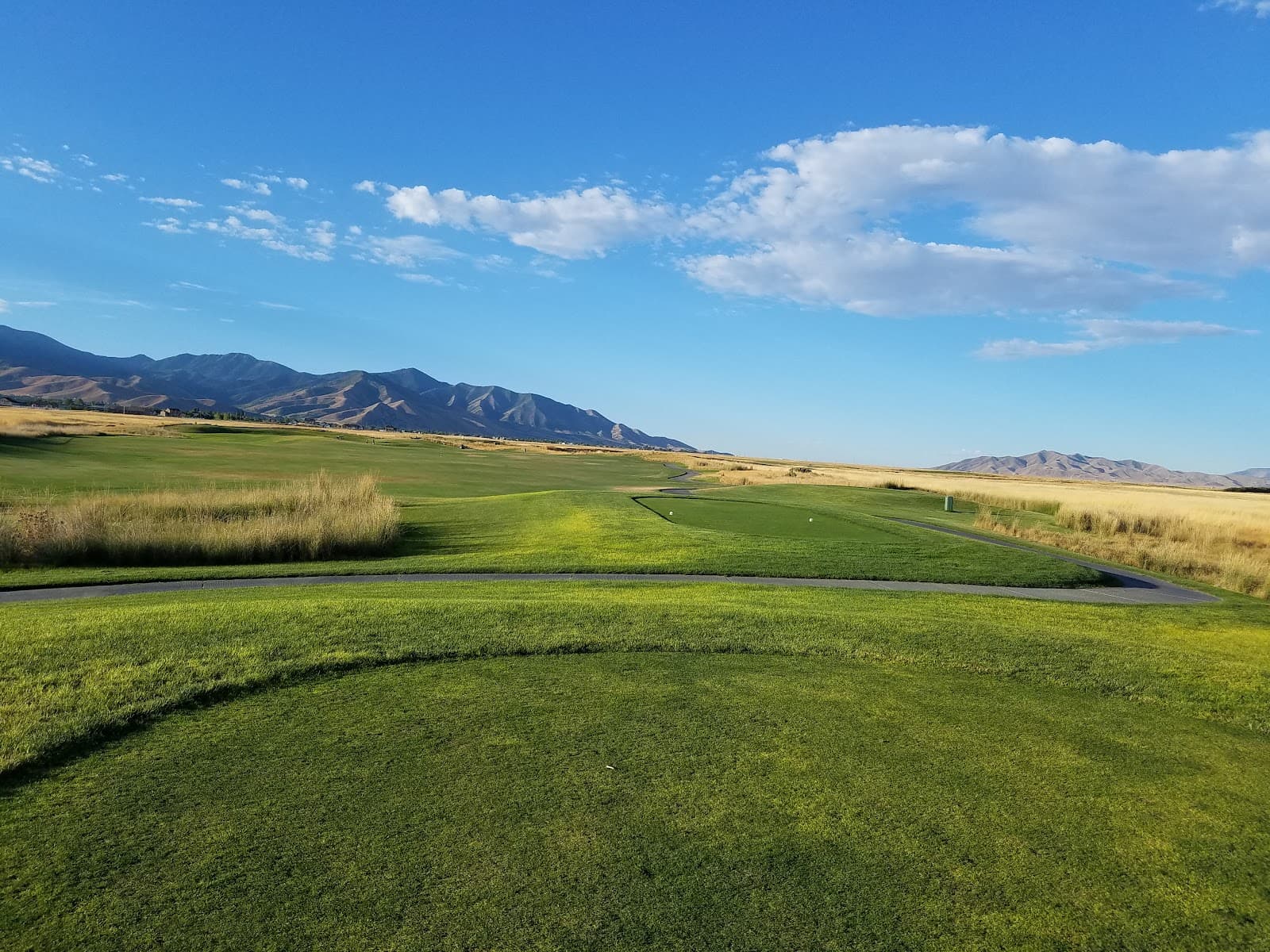 The Links At Overlake